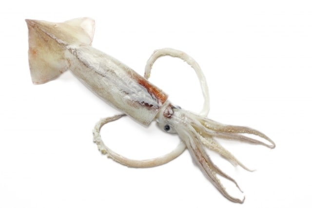 イカの煮物が鍋を焦げつかせる理由 焦がさない方法と鍋のコゲを取るテクニック